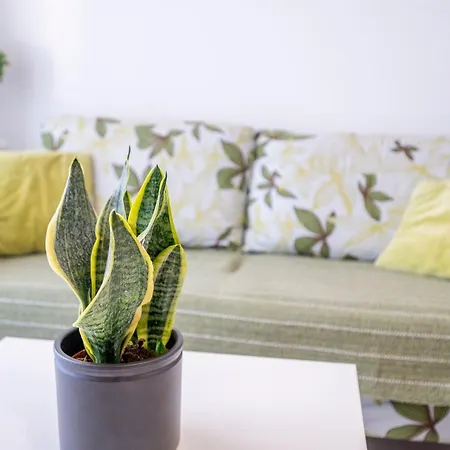 アパート Waves Of Mastichari マスティハリ