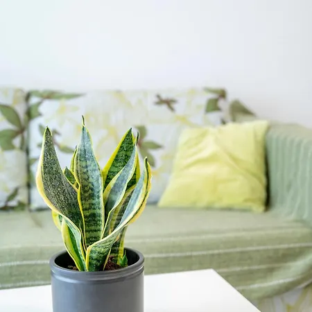 アパート Waves Of Mastichari *