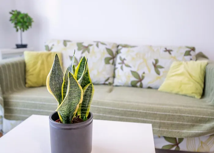 Appartamento Waves Of Mastichari Mastichari (Kos)