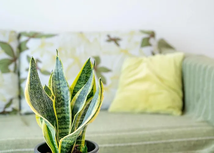 Appartamento Waves Of Mastichari *