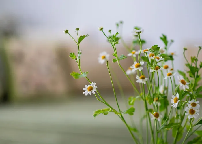 Appartement Waves Of Mastichari Mastichari (Kos)